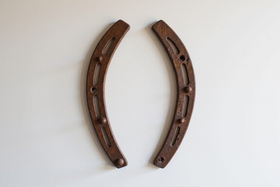 horseshoe DIY Projects That Transform Old Iron Into Chic Decor